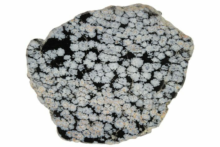 Polished Snowflake Obsidian Section - Utah #114204